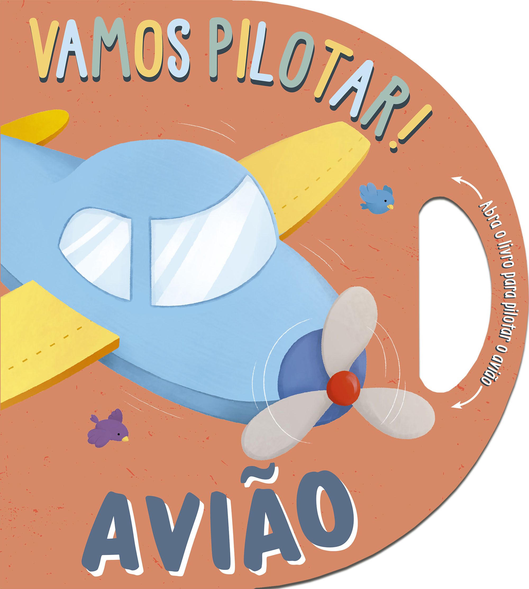 Capa Vamos pilotar!