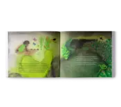 Capa Takua e o segredo das constelações 0