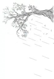 Capa A liberdade de ser quem você é 0