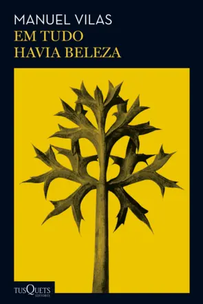 Capa Em tudo havia beleza