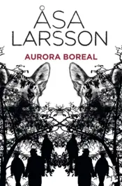 Capa AURORA BOREAL