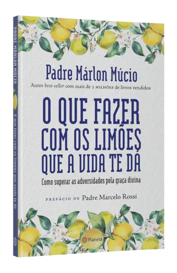 Imagem extra O que fazer com os limões que a vida te dá 0